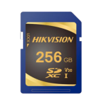 HS-SD-P10STD-256G