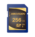 Hs-sd-p10std-256g