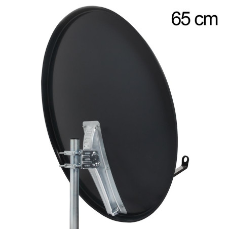 SAB S65A, logo, bulk S046 (collection P / S, pal.10-220st) onop