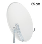 SAB S65LG NL, NO logo, Bulk S032 (collection P / S, pallet 10-220ST.)