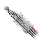 Con300-cat5-economic affairs