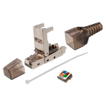 Con300-ftp6a-fluorescent