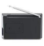 Technisat Digitradio 2 (mono)