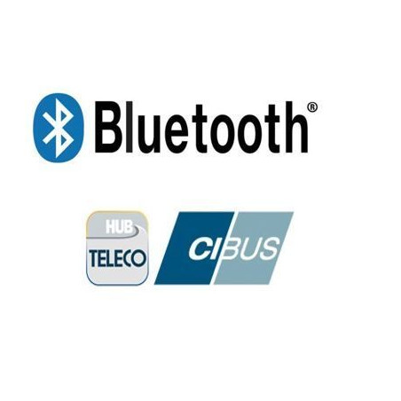 Telair 07774 TLI PREMIUM 12/200 LiFePO4 LITHIUM Bluetooth