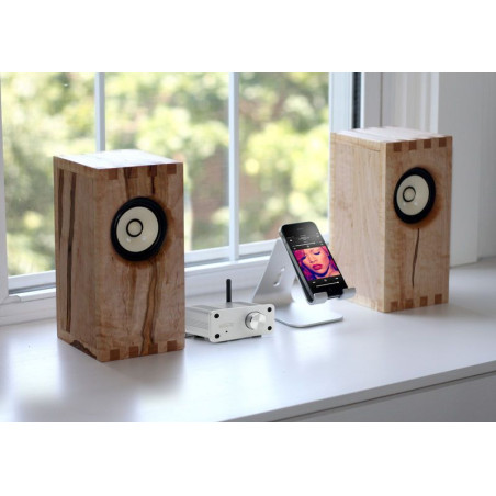 Marmitek Tree tree 460 digitally high. 2x20w 4 ohm aux input