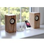 Marmitek Tree tree 460 digitally high. 2x20w 4 ohm aux input